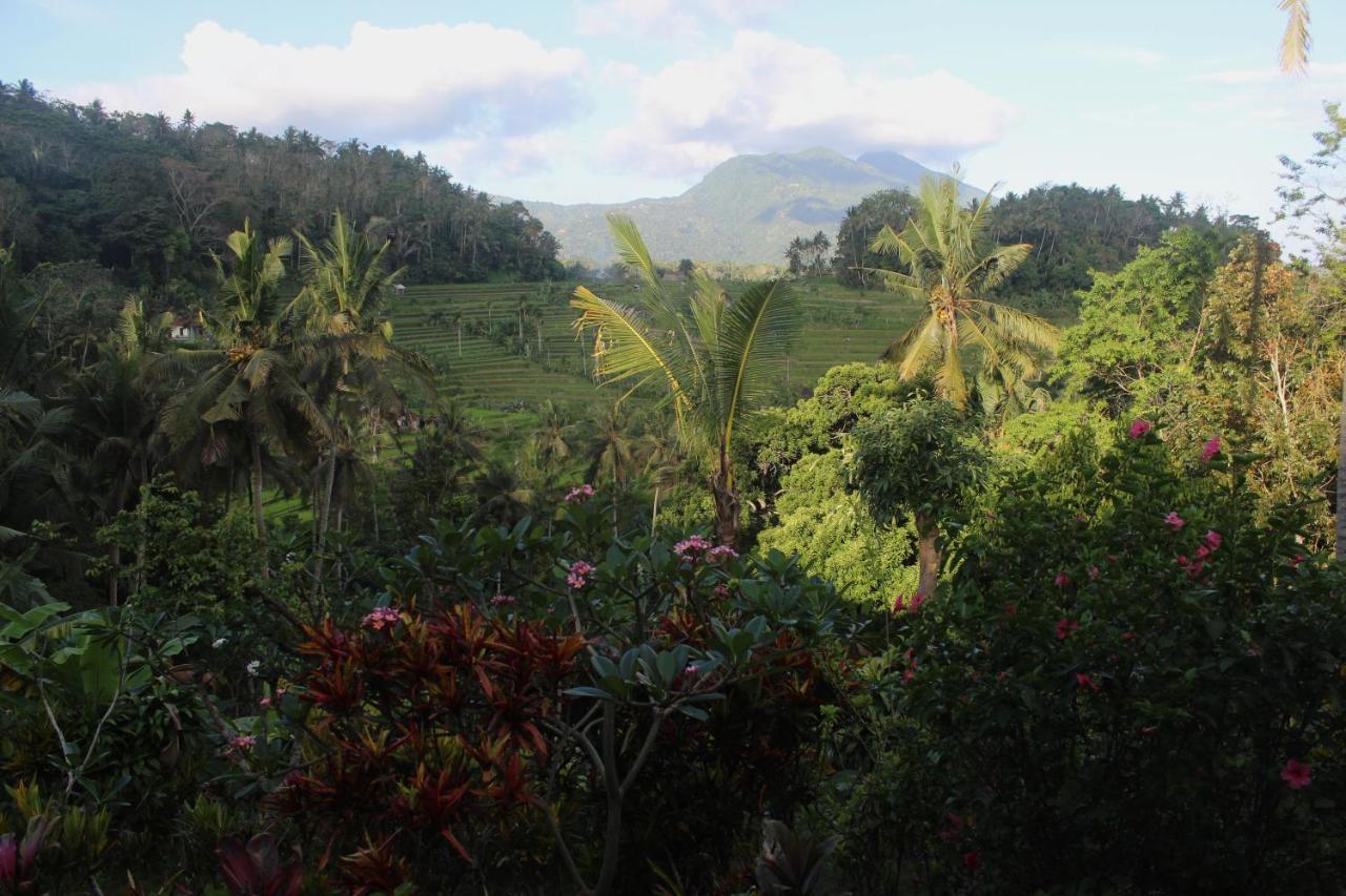 Pondok Lembah Dukuh Homestay Karangasem  Ngoại thất bức ảnh