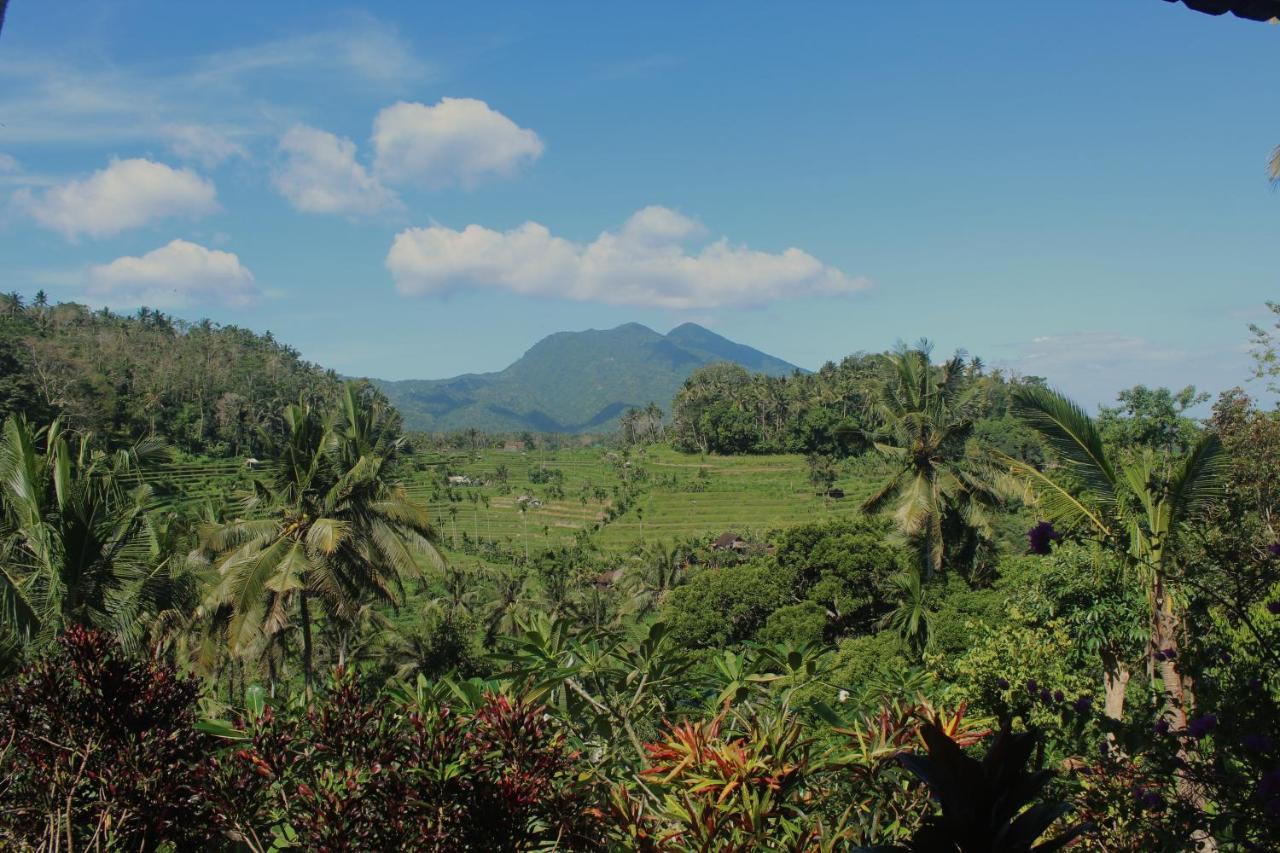 Pondok Lembah Dukuh Homestay Karangasem  Ngoại thất bức ảnh