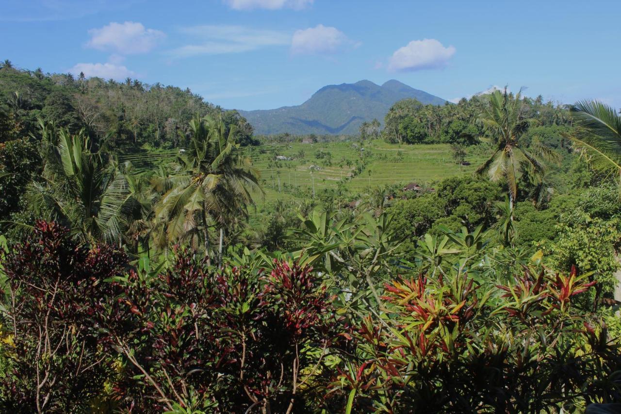 Pondok Lembah Dukuh Homestay Karangasem  Ngoại thất bức ảnh